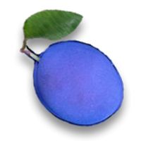 Blue Plum Software coupons
